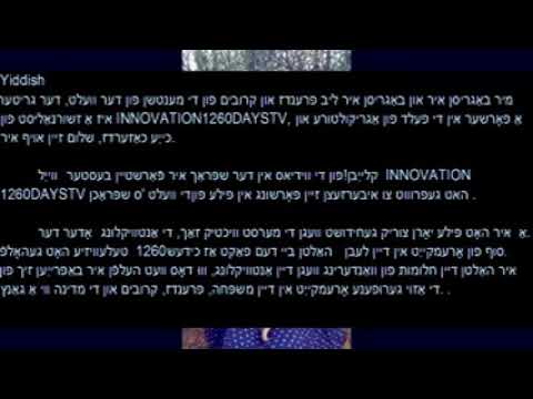 ווי |  ווי צו רעאַגירן געשווינד |  זייער |  צו קאָרמען די טשיקאַנז פון |  הינדל אין שטוב |  הינדל