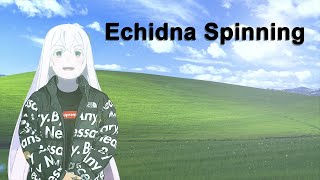 Echidna you spin me right round chorus loop || Available in Wallpaper engine || Right click to Loop