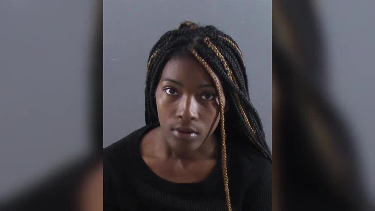 Driver accused of killing man and dog in hit-and-run in Dane County ...