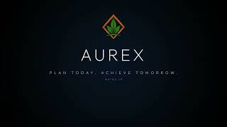 Aurex — Net Zero Roadmap Planner