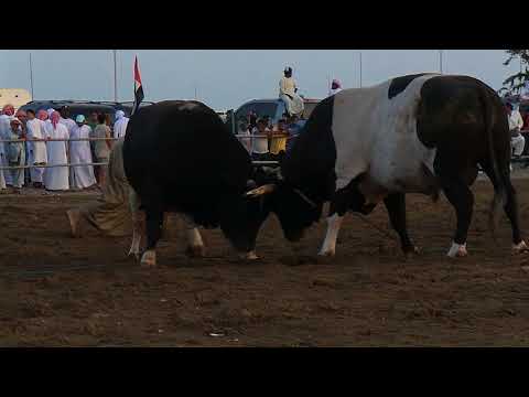 ميدان التنور المدمر و الغدار