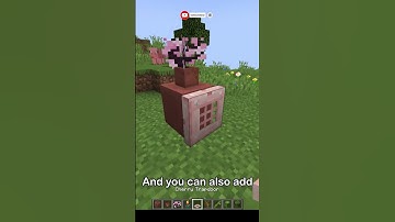 Minecraft 1.20 Build Hacks #minecraft #shorts