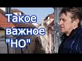 Такое важное "НО" (из цикла "Испытание Веры")