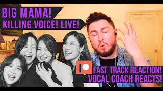 Vocal Coach Reacts Big Mama Killing Voice  Patreon Fast Track Reaction