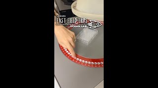 Fast Field Trips: Ocean Lab