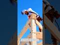 Timber Post & Beam Assembly | Solid & Precise Build