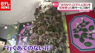 「新型コロナ」で苦境の“花”業界…アイデアで「おうちクリスマス」に彩り（2020年12月24日放送「news every.」より）