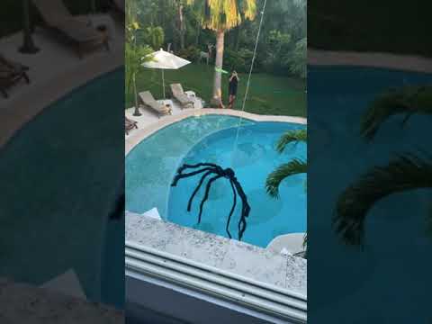 JULIUS DEIN - SPIDER DRONE PRANK!! - #Shorts - JULIUS DEIN - SPIDER DRONE PRANK!! - #Shorts