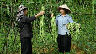 May and Grandma Harvest a Bountiful Bean Crop! | The Fruits of Many Days of Watering and Caring