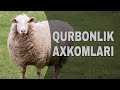 Qurbonlikning axkomlari | Shayx Sodiq Samarqandiy