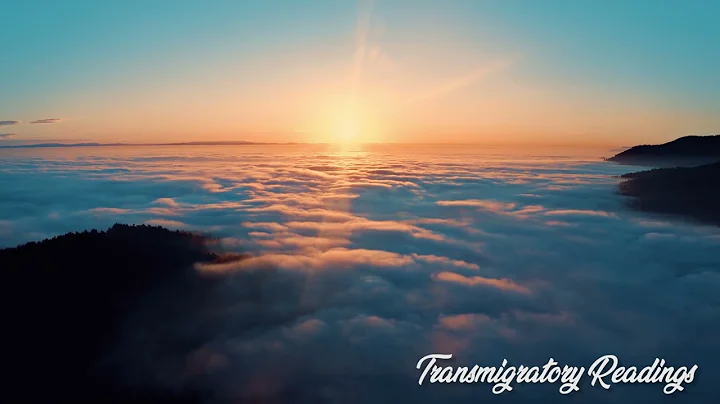Moving Into The Realm of Grace - Rebecca Buchanan