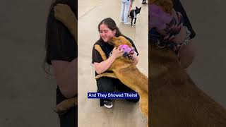 Humane Society Of North Texas Mega Adoption 2025 - Day 2