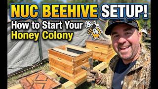 How to Setup a Nuc Beehive: A Step-by-Step Guide for Beginners