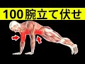 毎日腕立て伏せを100回するとこうなる