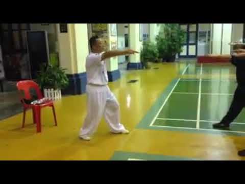 永春白鹤拳  七步三战