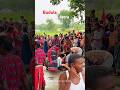 Ref:nWD0Gwa6PLA Budula bail jatra || maa  #maa #budula #bailjatra #shortsfeed #shortsvideo