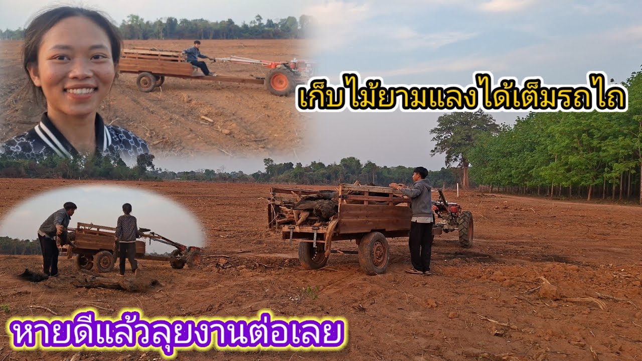 ไม้ที่เก็บไว้มีคนเอาไปหมดแล้ว มาขนเอาไม้กลับบ้าน 24 กุมภาพันธ์ ค.ศ. 2026