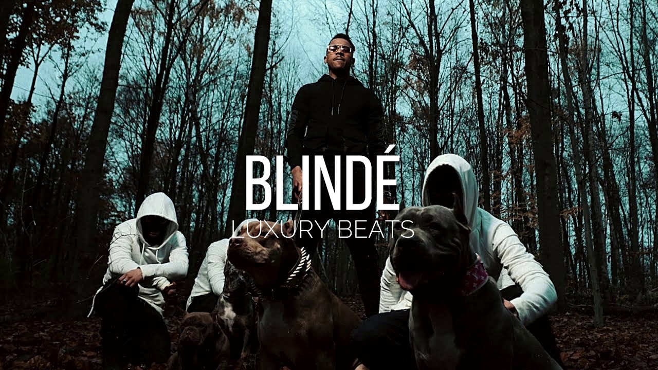 TIMAL Type Beat | BLINDÉ | Trap/Rap Instrumental 2020