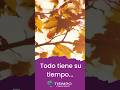 🍂 Lanzamos la 3.ª edición de la Revista Tiempo Consciente ✨