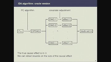 AMLD2017 - Marloes Maathuis, ETH: "Estimating causal effects from observational data"