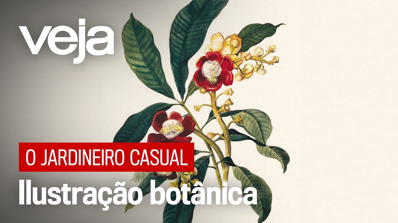 Ilustração botânica, uma mania que une arte e ciência