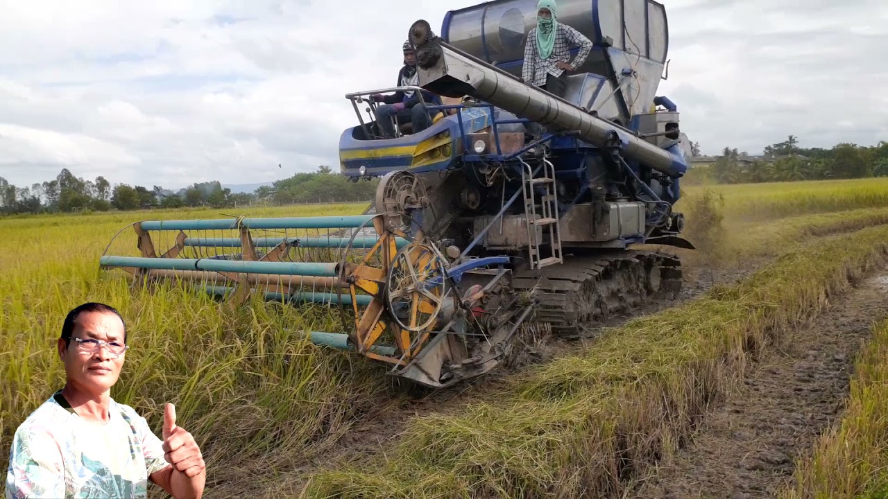 เกี่ยวข้าวพิษณุโลก 2 ไร่ละ 1 ตัน [ บ้านนา สวนไร่ ]