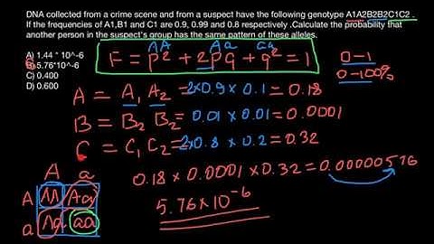 Forensic genetics, Population genetics and Paternity testing explained