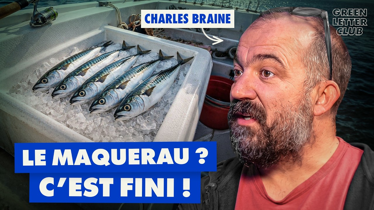 Pourquoi la pêche artisanale s'effondre ?