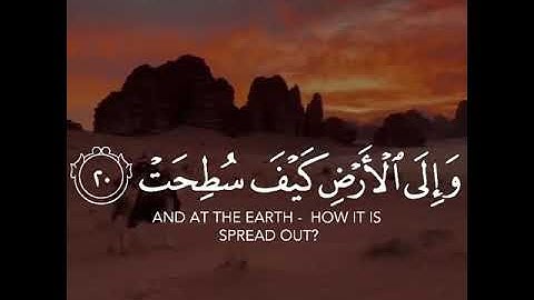 القرآن الكريم | أَفَلَا يَنظُرُونَ إِلَى الْإِبِلِ كَيْفَ خُلِقَتْ | سورة الغاشية