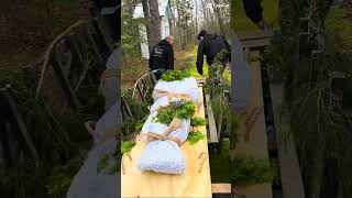 Can t stop won t stop Learn more about here globalgreenburialalliance net