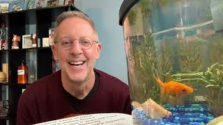 Pop-Up Catechesis: The Eighth Commandment