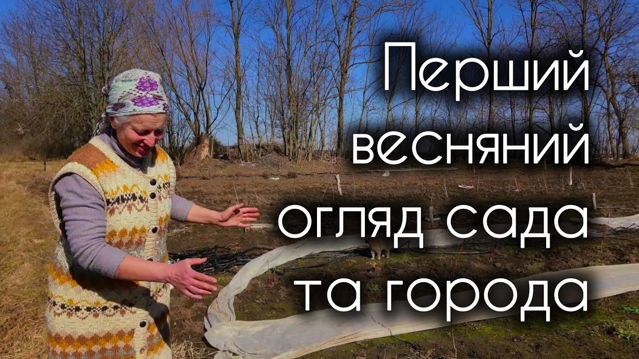 Обрізала дерева, а чи правильно?