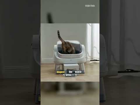 The Real Routine After a Self-Cleaning Litter Box Cycle video thumbnail
