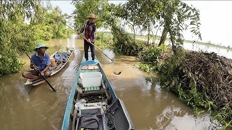 Thả Cáp Máy Lạnh 80₫ / Chuyên Cá Da Trơn Vẫy Miền Bao Cá Nổi Đẹp