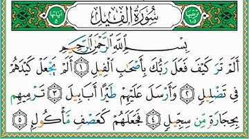 سورة الفيل مكررة 7 مرات ماهر المعيقلي  Maher Almaikulai - surat alfil