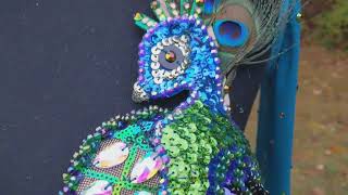 Peacock Costume @EshtaAmar