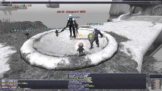 Ff11 ギアスフェット Ark Angel Hm 青 Youtube