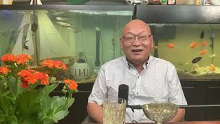 钱学森、牟其中的“工程气象学”设想：把喜马拉雅山炸开一个口子，将中国西部地区变成降雨区！捎带手是不是能把台湾海峡填平了？（20200928第1517期）