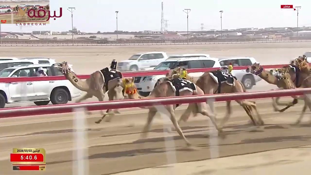 ش1 سرابه لـ مبارك محمد وريقة العامري (ختامي الوثبة 2-3-2026)  كأس اللقايا بكار محليات إنتاج 7:21:81