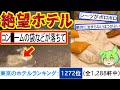 【1泊10716円】東京秋葉原の地獄ホテルに泊まったら涙と嗚咽が止まらかったのだ…【ずんだもん&春日部つむぎ解説】