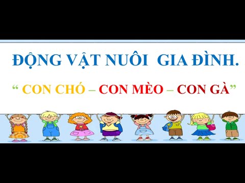 Vật nuôi trong gia đình. Chủ đề Động vật.