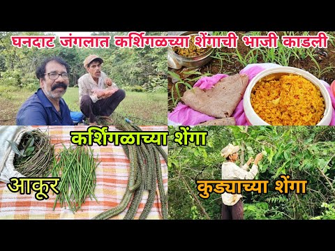 कोकणातील पावसाळ्यातील रान भाज्या एक दिवस गवारेड्यांच्या जंगलात कर्शिगळच्या शेंगा आकूर भाजी