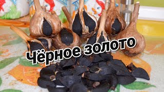 Черный чеснок (Black Garlic)//Супер продукт ХХI века!