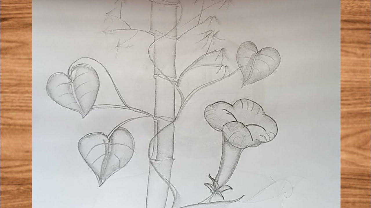 How to draw flowers with bamboo tree.