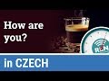 Czech Language Basics Quiz