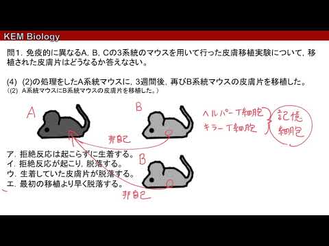 高校生物基礎「皮膚片の移植実験」