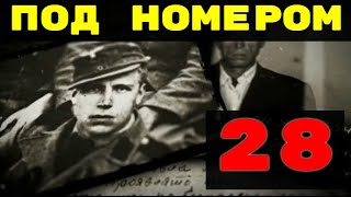 Под номером 28 -  Без срока давности