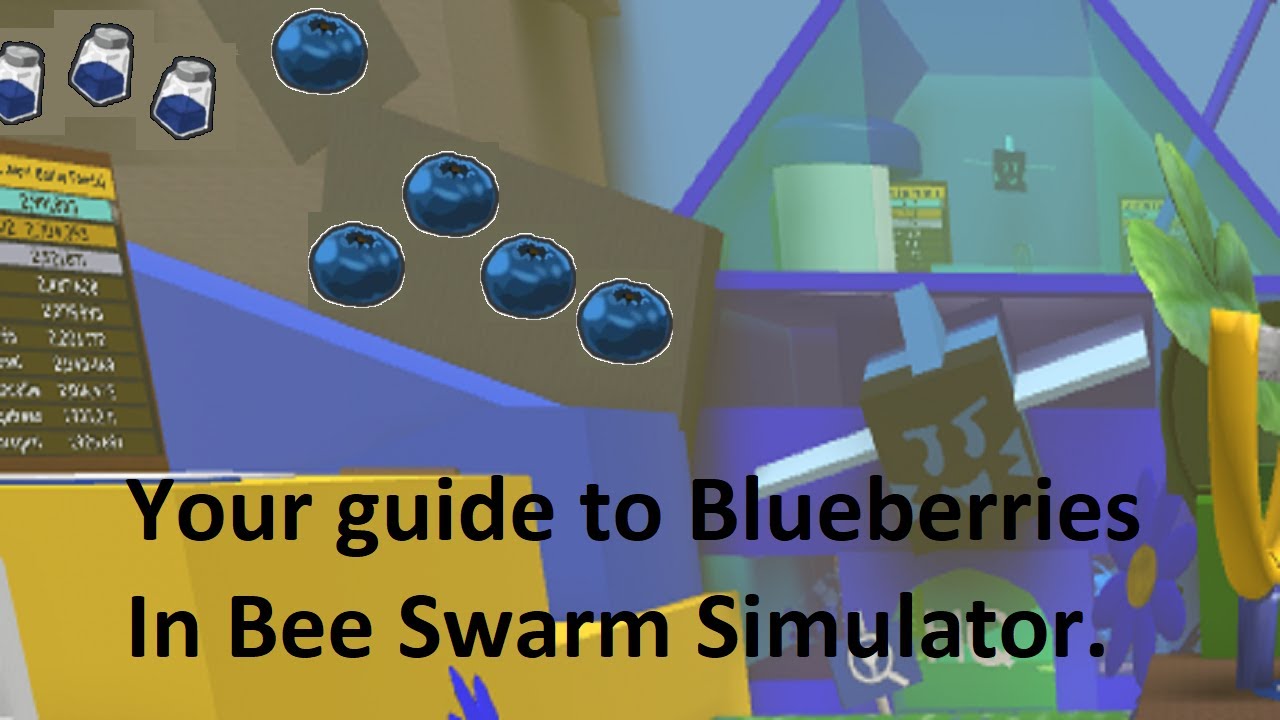 your-guide-to-blueberries-in-bee-swarm-simulator-youtube