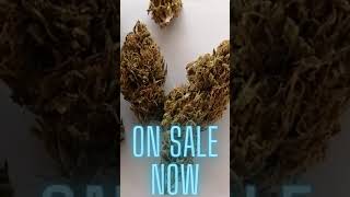 Wholesale CBD Flower LBs $250 | Special On Craft Hemp Buds