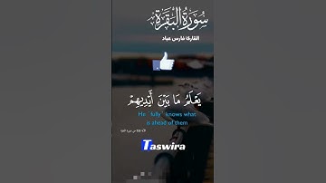 الله لا إله إلا هو الحي القيوم - تلاوة هادئة من سورة البقرة #قرآن
